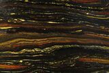 Polished Tiger Iron Stromatolite - Billion Years #129219-1
